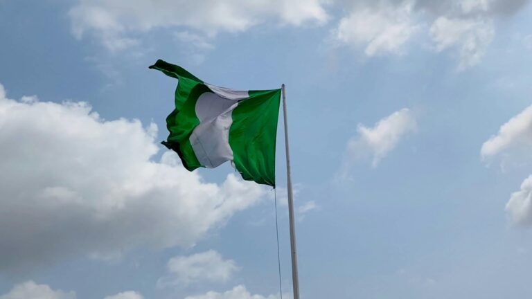 Nigerian flag
